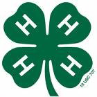 Clover